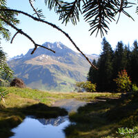 Hochmoorwanderung St. Antönien Grossried, Soppaseeli
