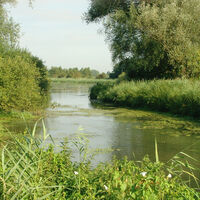 Wyler Meer