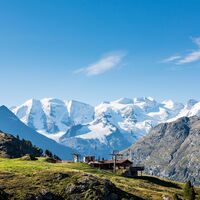 Alp Languard