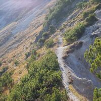 Weg zur Halserspitze