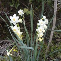 Wanderung der Arnede bei Caravette0008 @CDRP34