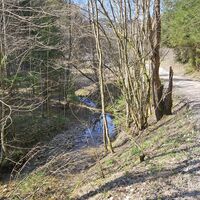 Schotterstraße zur Abzweigung des Wasserfallpfades