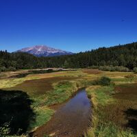 Erlauf_Walster4