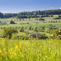 Frühling in den Streuobstwiesen, Biosphaerenreservat Bliesgau
