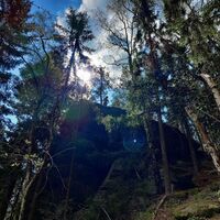 Landschaft bei der Kleinen Beistein-Wanderung