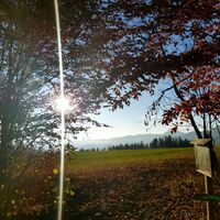 Ausblick Bienenlehrpfad_Naturpark Almenland_Oststeiermark
