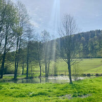 TeichKaltes Loch