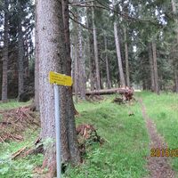 Aufstieg durch den Wald am Kamm