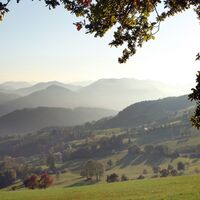 Touren Bergfex Neuhofen An Der Ybbs Wandern Neuhofen An Der Ybbs