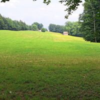 Gipfelrücken Wiese