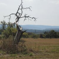 Hochfläche um Spessart