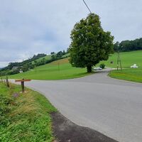 wieder zurück