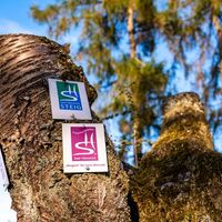 Beschilderung am Saar-Hunsrück-Steig