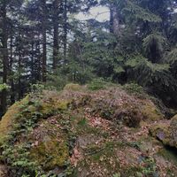 Vermiutlich höchste Erhebung des Kleinen Aschenstein (weglos)