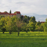Burg Creuzburg, von der Werraaue