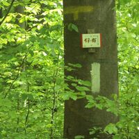 Salzgitter-Bad, Trampelpfadeingang Wanderwege 13 und 15 hinter der Forst-Wendeschleife