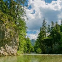 Fliegenfischen im Naturpark Mürzer Oberland