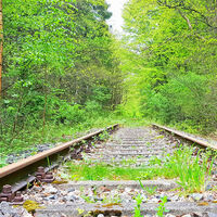 Die alte Bahnstrecke mitten durch den Ortholz