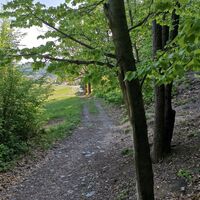 Wegbeschaffenheit Richtung Gleichenberg Dorf