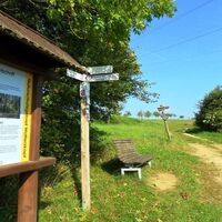 Rastbank am Wanderweg