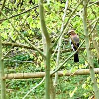 Wanderung Oberwarngau Taubenberg