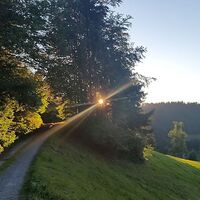 Rotenberg Runde
