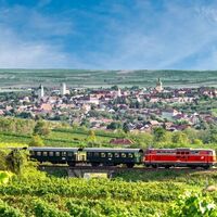 Reblaus Express mit Blick auf Retz