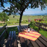 Picknick mit Ausblick