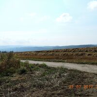 Das Wiesental