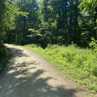 Gemarkungswanderung entlang der Gemarkung Mutlangen