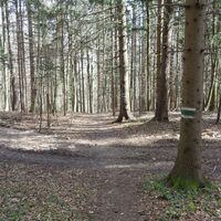 Abstieg Taurer Taschbergweg