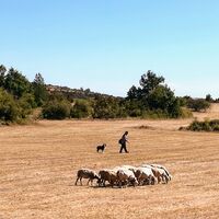 Radtour durch den Süden von Larzac0003 @Gilles Delerue - ADT34