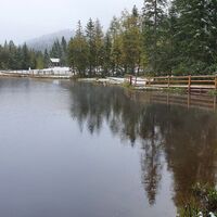 Moorlehrpfad um den See