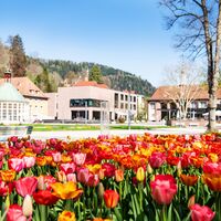 Das Tagesziel und Ende der dreitägigen Tour erreichen wir im Kurpark in Bad Liebenzell