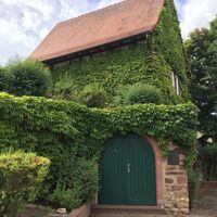 Altes Kelterhaus Grünstadt-Asselheim