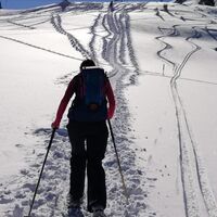 Bergauf mit Schneeschuhen