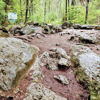 Rinnen der Fuhrwerke vom Bau der Alten Straße