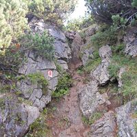 PillerseeTal - Spielberg (c) Petra Astner (9).JPG