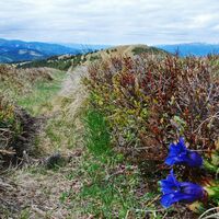 Hochalm aus dem Utschgraben über Eisenpass und Herrenkogel
