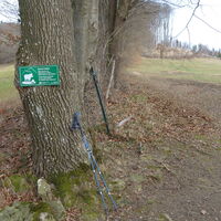 Aufstieg am Adolf-Müller-Weg