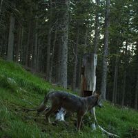 Historischer Weitwanderweg Wechselland