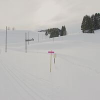 Winterwanderweg und Langlaufloipe verlaufen auf unterschiedlichen Strecken