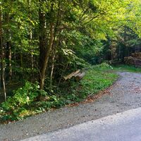 Waldweg