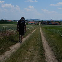 Alberndorf - Patzmannsdorf