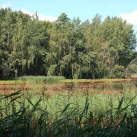 Heide