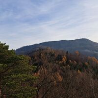 Ausblick auf den Geißbühel von der Ruine