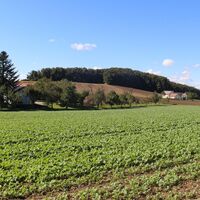 vorbei an Waldviertler Gehöften