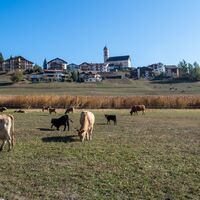 Falera - Laax - Falera