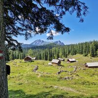 Schartenalm