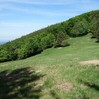 am Rückweg zum Schöpflgipfel